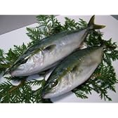 ハマチ　養殖1本-5kg前後2本入り