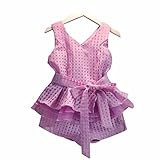 2-7歳の夏の子供の女の子のためのVネックシフォンチェック柄ノースリーブフリルトップスベスト+ショートパンツソリッドカラーセット子供服ファッションかわいいエレガントなプリンセスドレス (5-6歳, パ