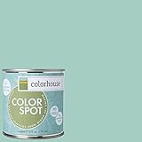 Inspired Eggshell Interior Colorspot Paint Sample, Water .07, 8-oz [並行輸入品]