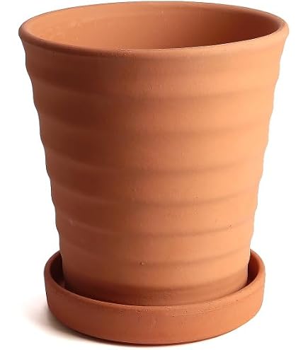 Amazon | スペイン製 植木鉢 アンジェリータ (27cm) テラコッタ