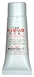 ウェーブ パテ革命 モリモリ硬化剤 20g