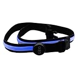Ruanyi 78cmホワイトレッドグリーンイエローピンクブルーRGB LED点滅ウエストバンド安全反射ベルトウエストバンド自転車ランニングハンドアクセサリートラックスーツ ( 色 : 青 )