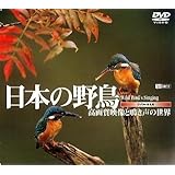 シンフォレストDVD 日本の野鳥 高画質映像と鳴き声の世界 Wild bird's Singing