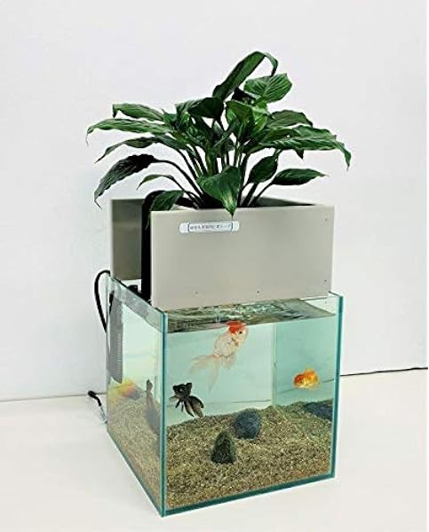水替え不要水槽 せせらぎビオトープ 25cm型基本 照明水槽セット 水槽 ろ過装置 ポンプ 照明 底砂 せせらぎ室内ビオトープ 水槽 通販 Amazon