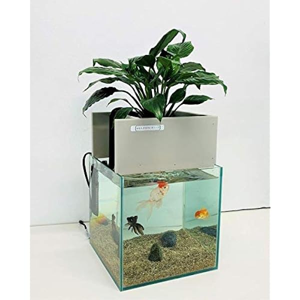 水替え不要水槽 せせらぎビオトープ 25cm型基本 照明水槽セット 水槽 ろ過装置 ポンプ 照明 底砂 せせらぎ室内ビオトープ 水槽 通販 Amazon
