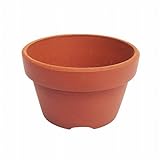 小さな 朱中深 植木鉢 2号 穴あり 10個