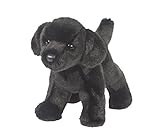 Douglas Bear Black Lab [並行輸入品]