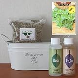 オレガノの栽培セット/豊作セット（液体肥料付き）プランターホワイト仕様