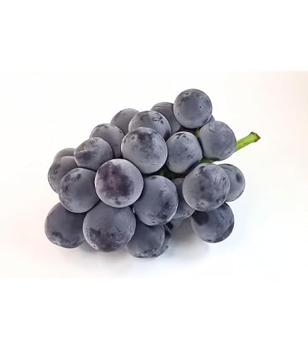 Amazon.co.jp: 【岡山県産】訳あり ニューピオーネ 大きさおまかせ 1箱
