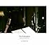 the HIATUS「The Afterglow -A World Of Pandemonium-(DVD)」