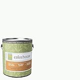 Inspired Flat Interior Paint, Imagine .01, Gallon [並行輸入品]