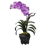 Nearly Natural 1252-PP Vanda with Black Hexagon Vase Silk Arrangement, Purple [並行輸入品]