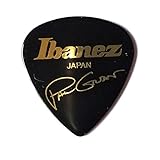 アイバニーズ ピック 1000PG-BK