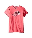 (ザノースフェイス) THE NORTH FACE キッズTシャツ Short Sleeve Graphic Tee (Little Kids/Big Kids) Honeysuckle Pink (