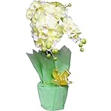 光触媒 殺菌 消臭 造花 玄関 人工 観葉植物 光の力で消臭・殺菌！胡蝶蘭 イエロー