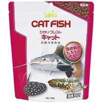 Amazon.co.jp: Hikari (ヒカリ) ひかりクレスト ビッグカーニバル 大型