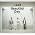 Beautiful Day（初回限定盤B）