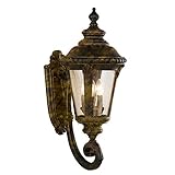 Transglobe Lighting 5041 BG Outdoor Wall Light with Seeded Glass Shades, Black Gold Finished [並行輸入品]