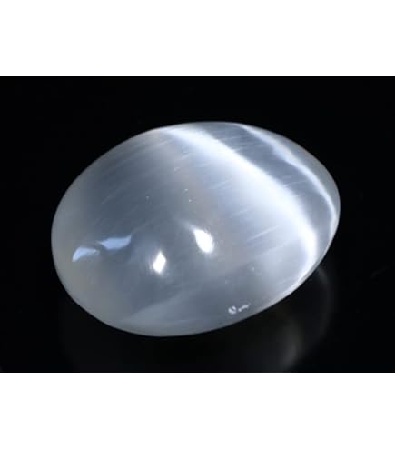 Amazon.co.jp: 【石流通センター】【置き石】カワイイぷっくり