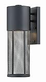 Hinkley照明2300-led Aria Singleライト15 – 1 / 2 "高統合LEDアウトドア、 2300BK-LED 1