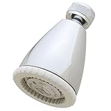 Pfister 015A100 Showerhead, Polished Chrome [並行輸入品]