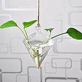 Fenteer 透明　花瓶　花　プランター　装飾　　ガラス製　水耕栽培容器　吊り掛け　コンテナ　　