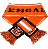 2013 NFLフットボールチームロゴWordmark Scarf