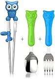 Edison Owl Training Chopsticks Spoon&Fork Set For Kids 3y+(Blue+Green) by Edison
