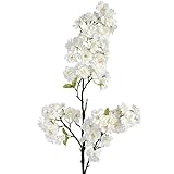 (ヒル・インテリアズ) Hill Interiors 桜 造花 アーティフィシャルフラワー イミテーションフラワー デコレーション (ワンサイズ) (ホワイト)
