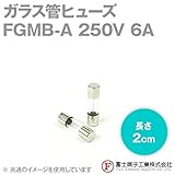 富士端子 FGMB-A ガラス管ヒューズ カートリッジタイプ (定格: AC250V 6A) (長さ: 2cm) (B種溶断型) NN