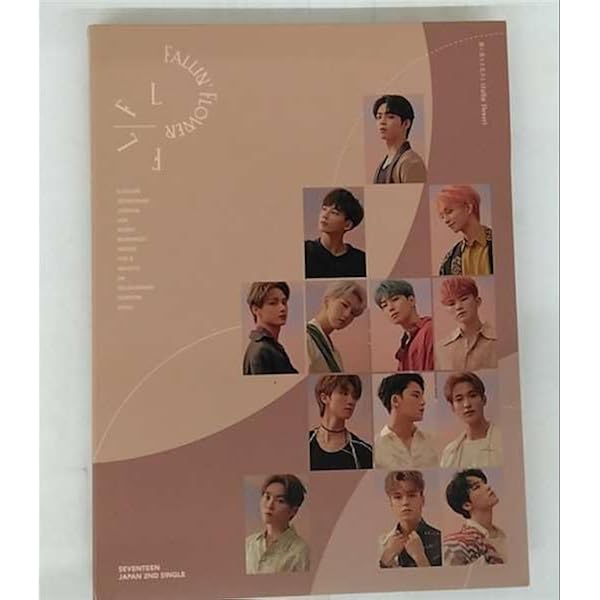 Amazon.co.jp: あいのちから (初回限定映像盤)(Blu-Ray付)(特典:なし