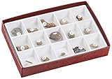 American Educational Paleozoic Fossils Collection [並行輸入品]