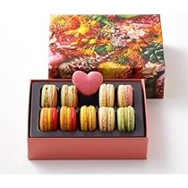 PIERRE HERME MACARON ピエール・エルメ マカロン PIERRE HERME ピエールエルメ マカロン 15個 ギフト プレゼント