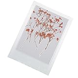 MagiDeal 12ピースPressed RealドライフラワーBabysbreath for DIYアートクラフトスクラップブック