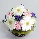 シーズナルアソート アレンジ バニラ