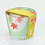 盆彩栽培セット モミジ