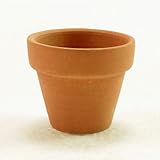 イタリア製テラコッタ鉢 スタンダードポット 5cm 16個入り ／植木鉢