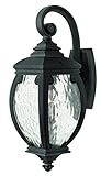 Hinkley 1940MB Outdoor Forum Light [並行輸入品]