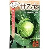 キャベツの種 甘乙女 種子 小袋 ミニキャベツ 野菜のタネ