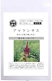 グリーンフィールドプロジェクト【有機種子・固定種】アマランサス A535