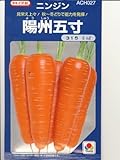 ニンジン　タキイ交配　陽州五寸　タキイのニンジン種です