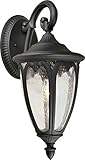 Forte Lighting 1826-01-04 Exterior Wall Light with Clear Seeded Glass Shades, Black [並行輸入品]