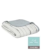 aden + anais (エイデンアンドアネイ) 【日本正規品】 シルキーソフト ミニ・ドリーム・ブランケットmoonlight silky soft mini dream blanket bead
