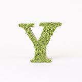 A plus floral art インテリアグリーン ワンサイド イニシャルモス [ Y ] アルファベット レター オブジェ 置物 苔 イニシャル 雑貨 北欧風 インテリア プリザーブドフラワー