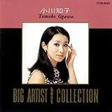 BIG ARTIST BEST COLLECTION/����m�q