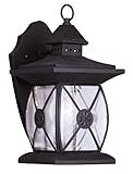 Livex Lighting 2091-07 Outdoor Wall Lantern with Clear Beveled Glass Shades, Bronze [並行輸入品]