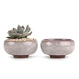 T4U 6.5CM 陶器ミ二植木鉢 氷裂紫砂シリーズ 多肉植物 サボテン鉢 フラワーポット プランター容器 灰色 2個入り