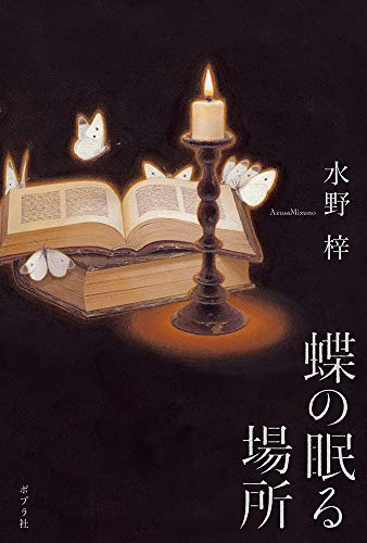 水野梓:蝶の眠る場所