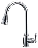 Dyconn Faucet TB001-A03CHR Coronado Pull Down Dual Spray Single Handle Kitchen Faucet, Polished Chro