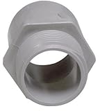 Cantex Industries #5140104C 3/4" PVC Term Adapter by CANTEX INDUSTRIES [並行輸入品]